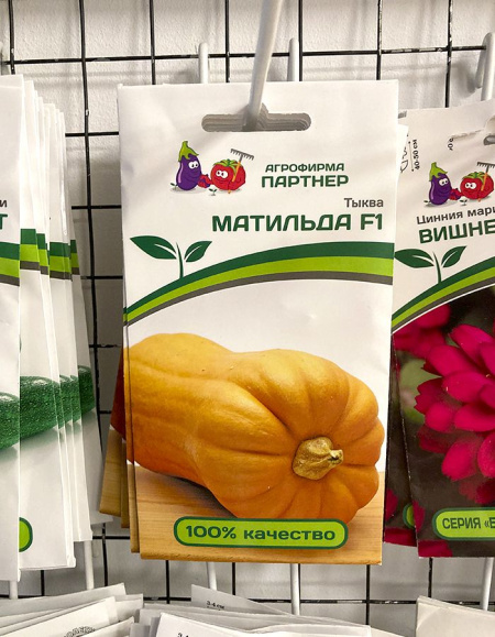 Тыква Матильда F1